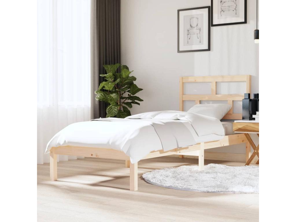 Cama