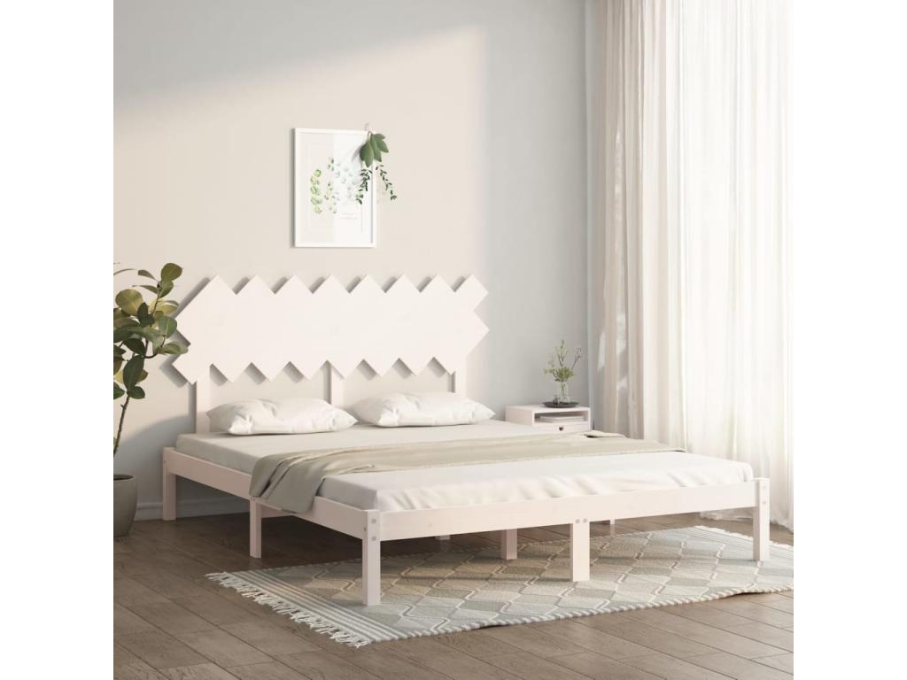 Cama