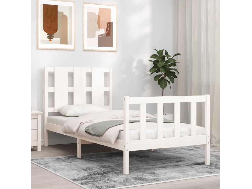 Cama