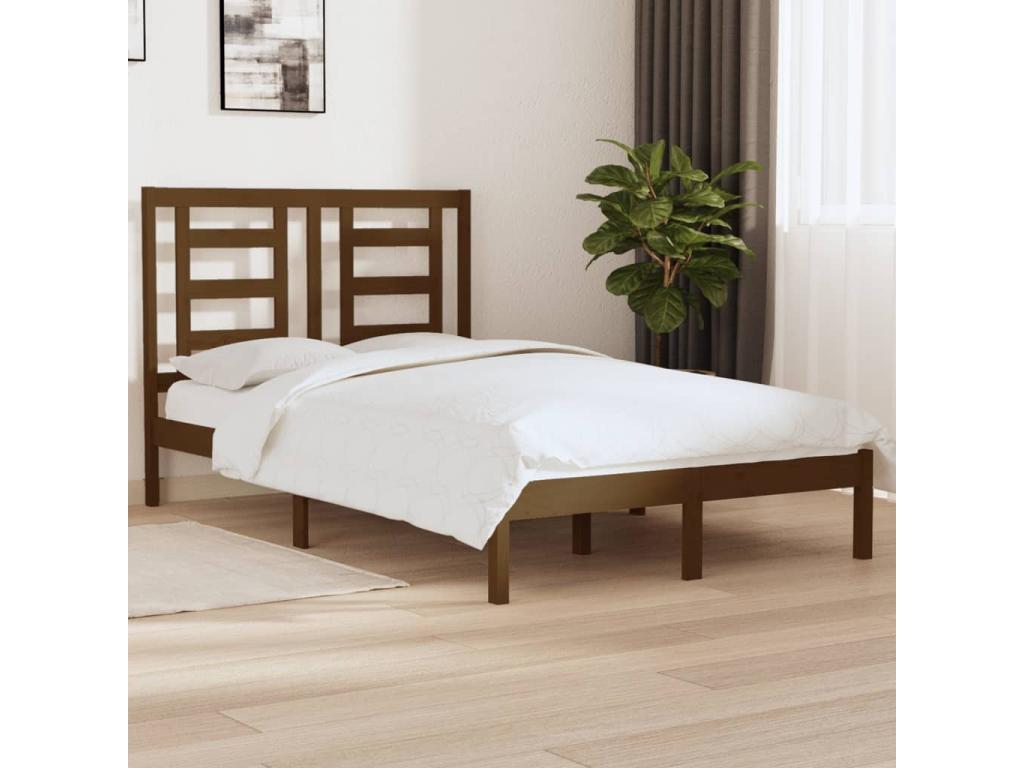 Cama