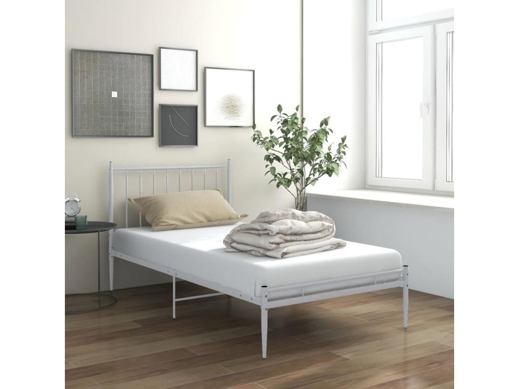 Cama