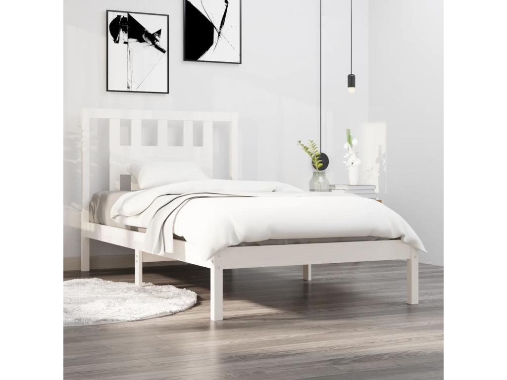 Cama